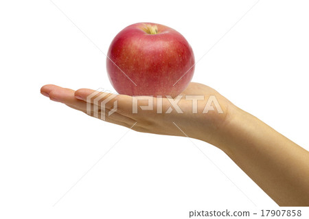 apple on the white background 17907858