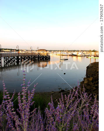 Irie河遊艇港口美好的日落在紐約長島 17909267