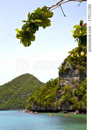 boat coastline of a green lagoon and tree boat coastline of a green lagoon and tree 17911266