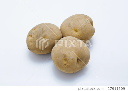 Men shabu also Men shabu also 17911309