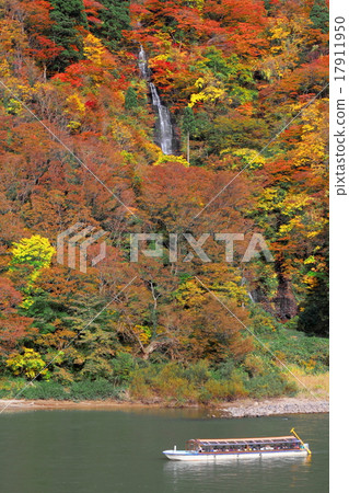 The autumnal leaves of the narrowest top 17911950