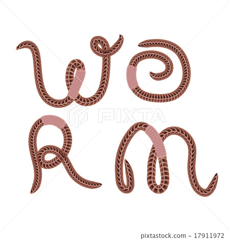 Animal Earth Red Worms Animal Earth Red Worms 17911972