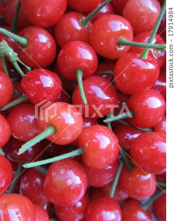 Cherry Cherry 17914984