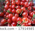 Cherry 17914985