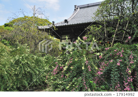 H寺 H寺 17914992