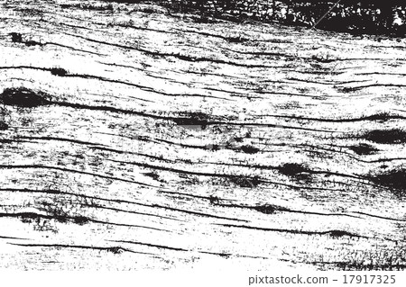 DSC_03431 DSC_03431 17917325