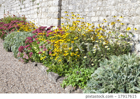 Autumn colourful flowers in a cottage stone garden 17917615