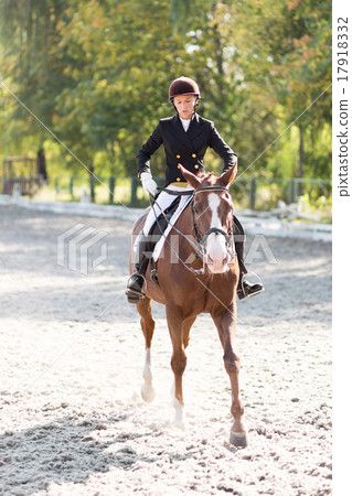 Young horse rider girl at the dressage competition Young horse rider girl at the dressage competition 17918332