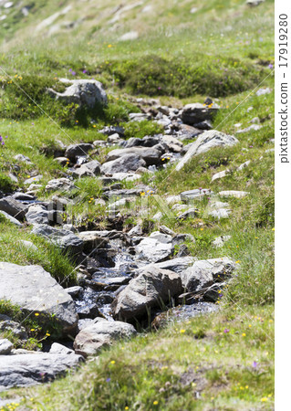 Mountain Creek Mountain Creek 17919280
