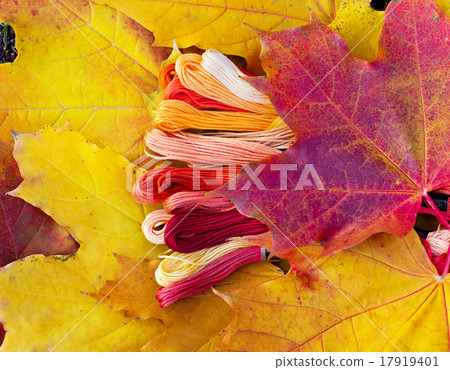 Multicolor yarns looks like autumn leaves 17919401