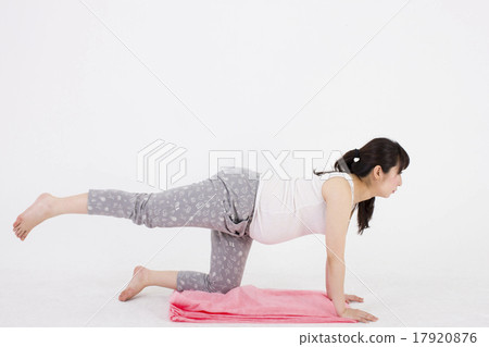 爬行在地板上的一名孕婦有白色背景並且執行舉的鍛煉 爬行在地板上的一名孕婦有白色背景並且執行舉的鍛煉 17920876