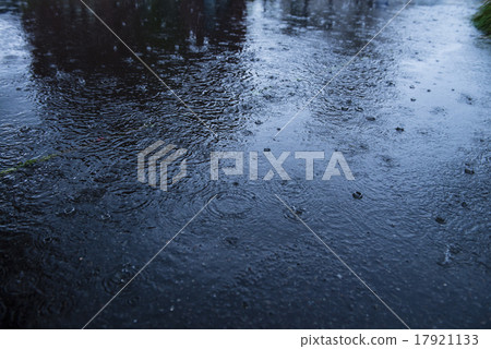 雨 雨 17921133