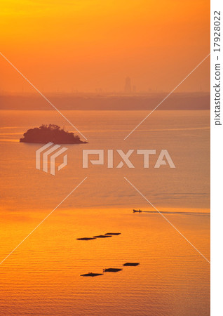 In the morning that it turns into an orange color 17928022