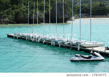 Yotto Harbor  17929573