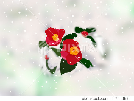 雪和山茶花 雪和山茶花 17933631