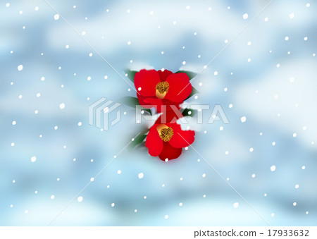雪和山茶花 雪和山茶花 17933632