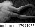 迷你panier半鼻子 17934055