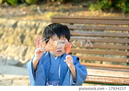 Shichigosan Shichigosan 17934237