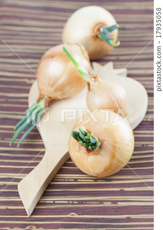 Onions Onions 17935058