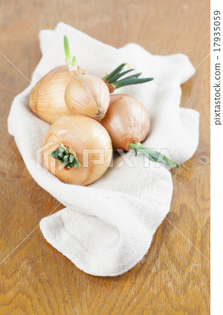 Onions Onions 17935059