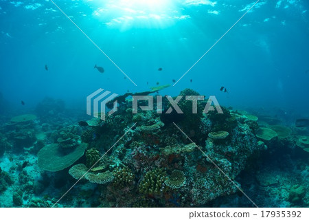 The sea of Maldives 17935392