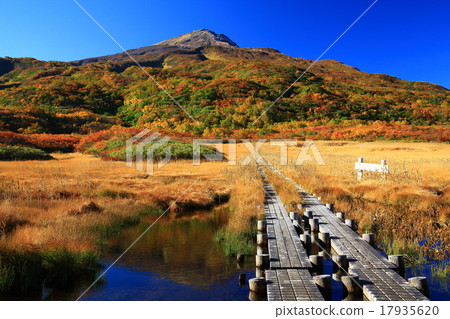 Autumn leaves of Chokai Volcano Autumn leaves of Chokai Volcano 17935620