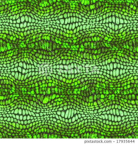 Snake skin Snake skin 17935644
