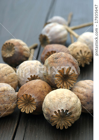 Poppy heads 17935647