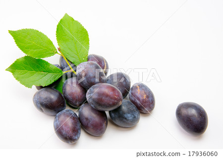 prune  prune  17936060