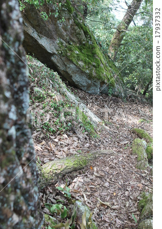 Mountain path stone pathway 17937332