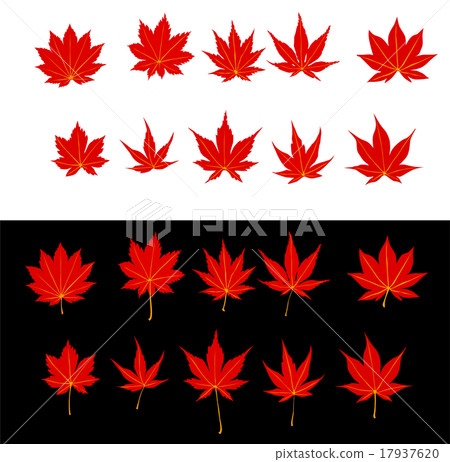 秋天的樹葉 17937620