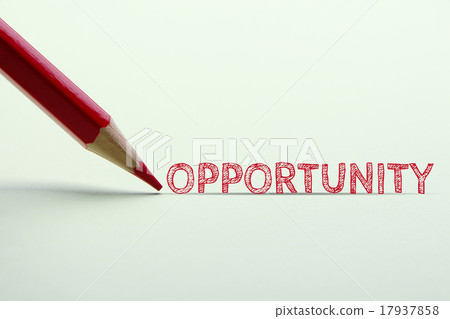 Opportunity 17937858