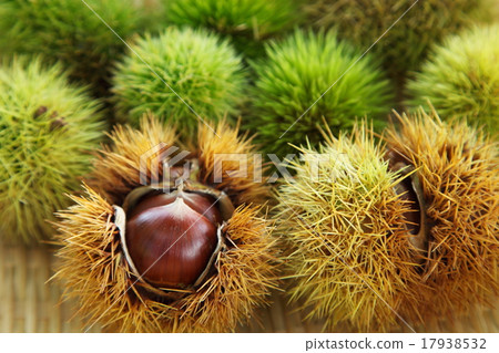 Autumn taste chestnuts Autumn taste chestnuts 17938532