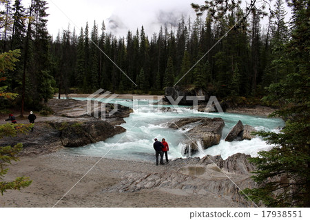 Kicking / Horse River in Canadian Rocky Yoho National Park 17938551