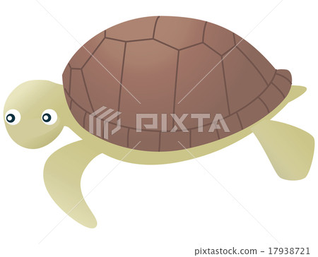 海龜 海龜 17938721