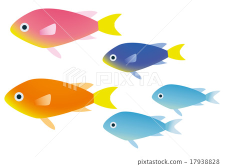 Damselfish Damselfish 17938828