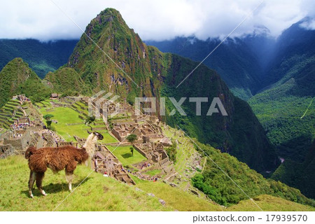 馬丘比丘遺址 17939570