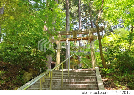 京都Saruimaru神社 京都Saruimaru神社 17942012
