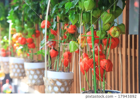 Photos of Kagurazaka Honzuki City 17943892