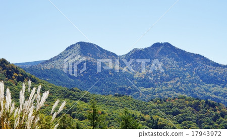 Shikaama Shikaama 17943972