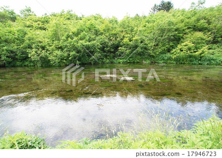 Gudari swamp Gudari swamp 17946723