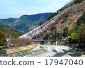    Carp streamer 17947040