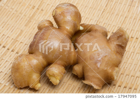 Ginger Ginger 17947095
