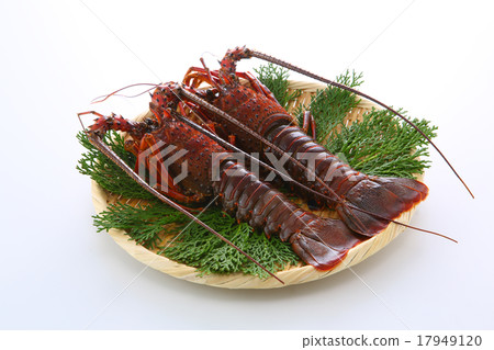 Ise shrimp Ise shrimp 17949120