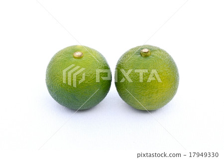 Ruffle Ruffle 17949330