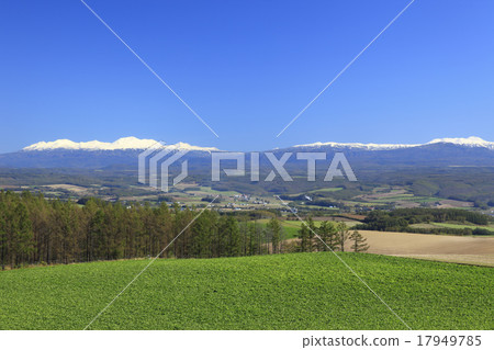 Daisetsuzan and foothills of the crown of Kamifurano-cho Hokkaido Daisetsuzan and foothills of the crown of Kamifurano-cho Hokkaido 17949785