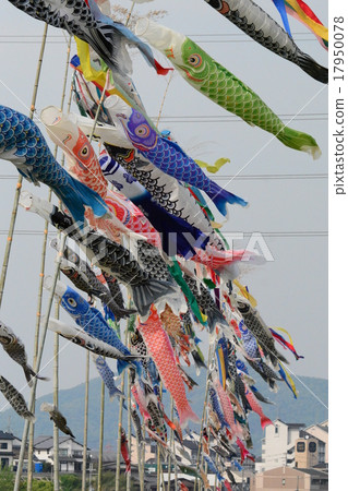 鯉魚旗 鯉魚旗 17950078