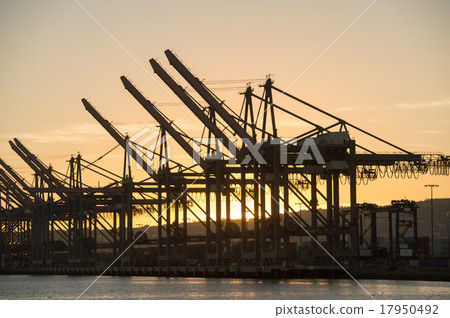 USA, Long Beach Port, USA, Long Beach Port, Container Crane, Evening Shot USA, Long Beach Port, USA, Long Beach Port, Container Crane, Evening Shot 17950492