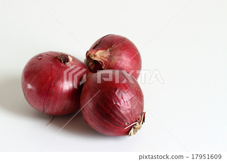 Purple onion 17951609