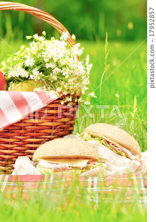 Picnic basket 17952857